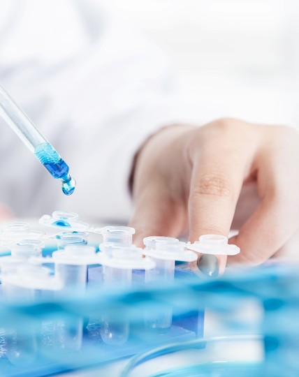 close-up photo of lab work with dropper